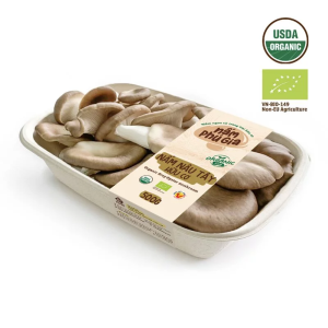 Nấm Hầu Thủ tươi | Hữu cơ | Khay | 500g